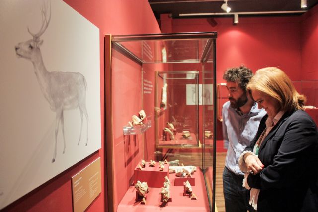 El Museo Arqueológico de Murcia amplía la exposición sobre Cueva Victoria hasta el próximo 23 de octubre - 1, Foto 1