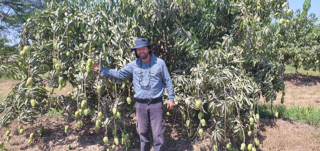 Las nuevas tecnologías y la gestión eficiente del agua y fertilización, claves para hacer más competitiva la industria del mango - 2, Foto 2