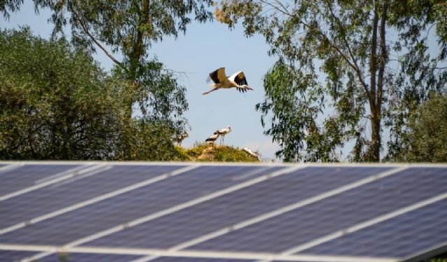 UNEF desmiente los 10 principales mitos sobre la energía solar - 1, Foto 1