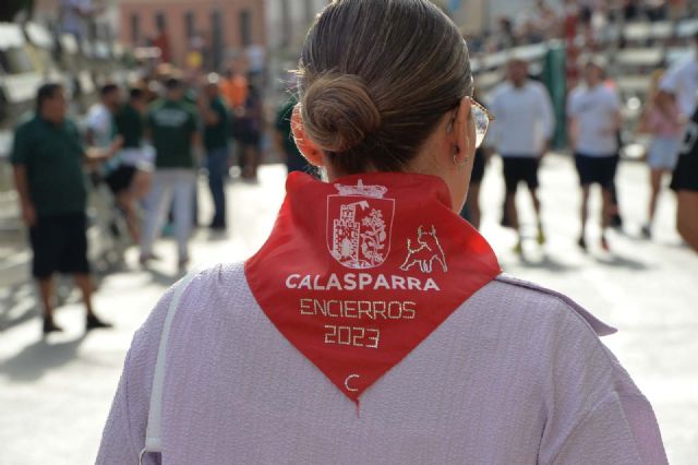 Los novillos de Pedrés protagonizan un encierro limpio y el más rápido de este año - 2, Foto 2