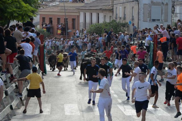 Los novillos de Pedrés protagonizan un encierro limpio y el más rápido de este año - 3, Foto 3