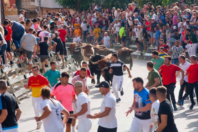 Los imponentes novillos de Pedrés corren un encierro limpio y abarrotado de público - 1, Foto 1