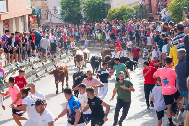 Los imponentes novillos de Pedrés corren un encierro limpio y abarrotado de público - 3, Foto 3