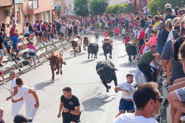 Los imponentes novillos de Pedrés corren un encierro limpio y abarrotado de público - 4, Foto 4