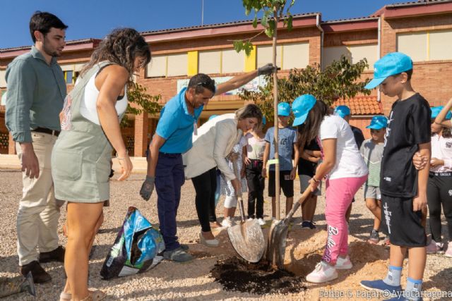 El Ayuntamiento amplía a más de 100 árboles el plan de sombraje natural en los colegios este curso - 1, Foto 1