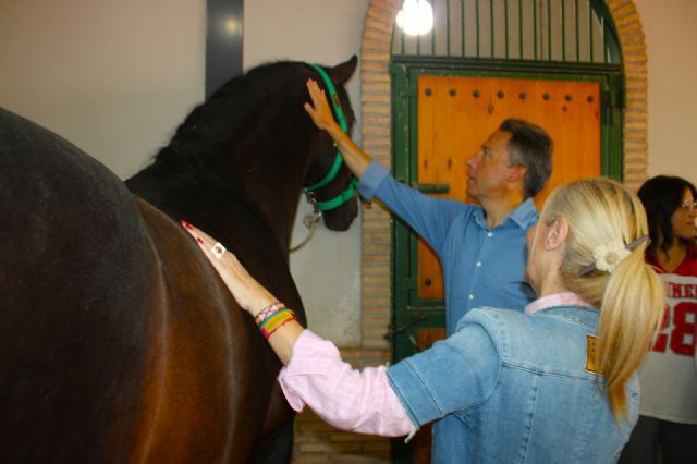 Fericab se consolida como feria ecuestre líder a nivel nacional gracias a la apuesta por el nivel de excelencia de los caballos y ganaderías con representación - 4, Foto 4