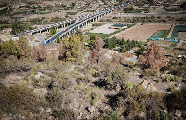 IU-Verdes denuncia el mayor desastre ecológico en los montes públicos de la Región debido a la sequía, Foto 1