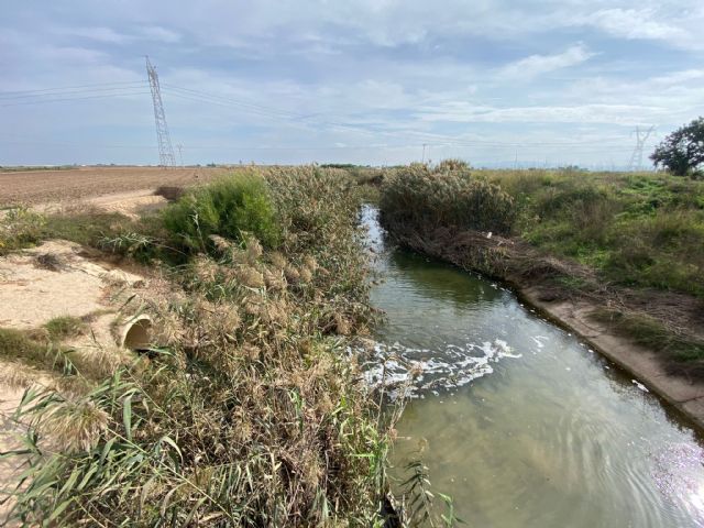 VOX señala la negligencia criminal de los alcaldes ribereños que niegan los vertidos urbanos hacia el Mar Menor - 3, Foto 3