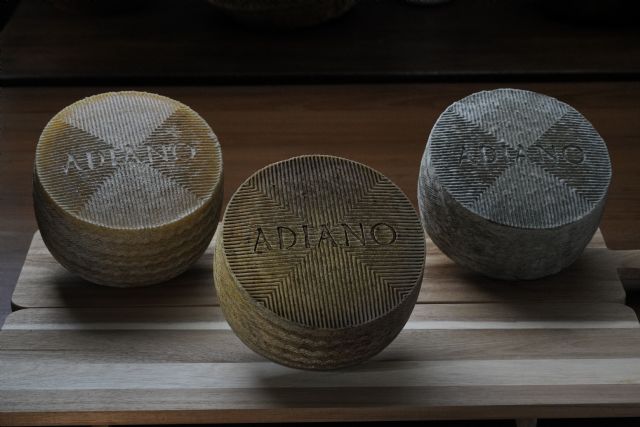 La familia Zambudio se estrena a lo grande en el mundo del queso de lujo - 1, Foto 1