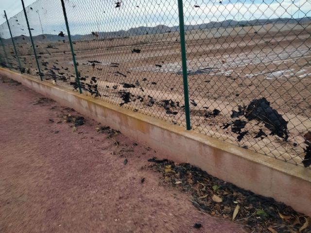 Aumentan las quejas por la roturación de los plásticos para acolchado agrícola - 2, Foto 2