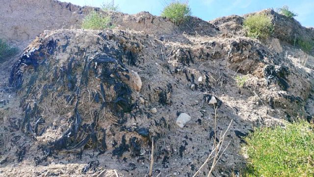 Aumentan las quejas por la roturación de los plásticos para acolchado agrícola - 3, Foto 3