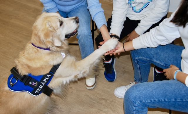 Purina colabora en un estudio multicéntrico que confirma beneficios de la terapia asistida con perros para adolescentes con trastornos mentales - 1, Foto 1