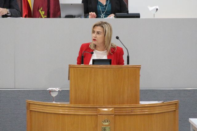 El PSOE pide la comparecencia del consejero de Salud en la Asamblea para que explique la reducción de operaciones en el Rosell y los recortes en personal - 1, Foto 1