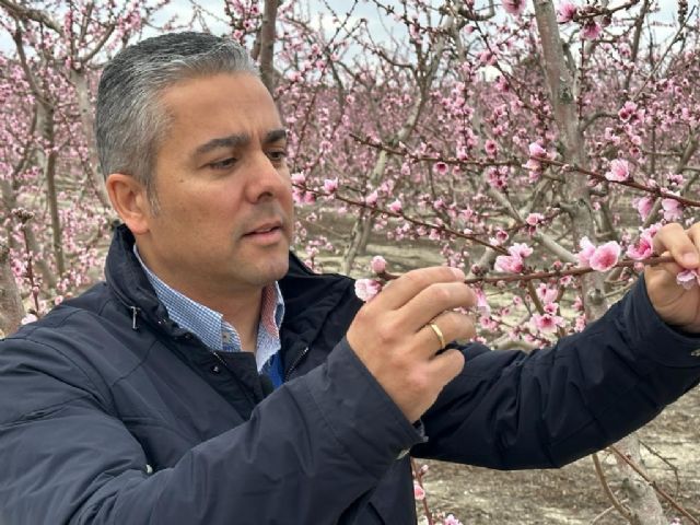 El PP exige al Gobierno de España un nuevo seguro agrario adaptado a las necesidades del sector y que responda ante situaciones de crisis - 1, Foto 1