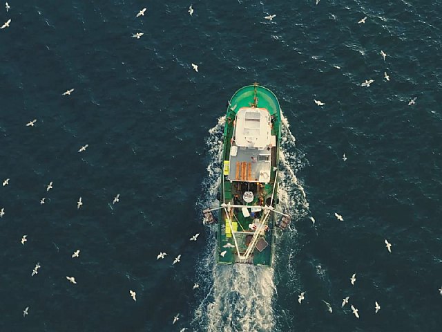 El Gobierno regional demanda al Ministerio incrementar el presupuesto del FEMPA para las ayudas por las paralizaciones de la pesca - 1, Foto 1