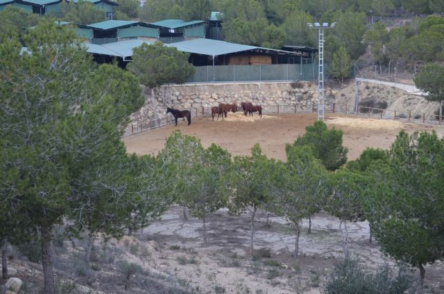 Club Aros Internacional acoge a jinetes franceses y suizos - 1, Foto 1