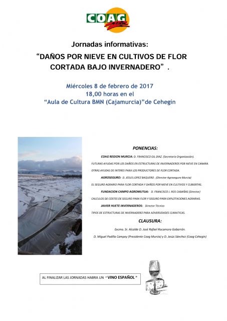 COAG organiza una jornada informativa esta tarde sobre los daños por nieve en cultivos de flor cortada bajo invernadero - 1, Foto 1