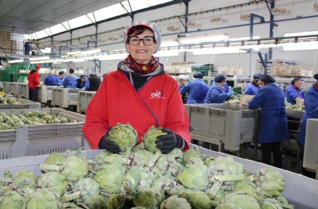 La alcachofa de la Vega Baja lanza 'Historias con corazón', una reivindicación del trabajo en la huerta a través de 3 generaciones - 2, Foto 2