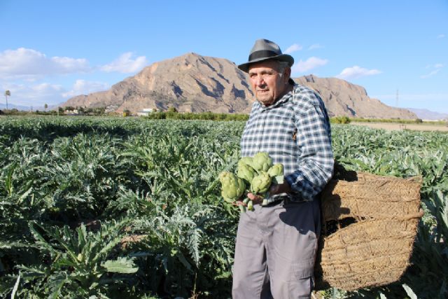 La alcachofa de la Vega Baja lanza 'Historias con corazón', una reivindicación del trabajo en la huerta a través de 3 generaciones - 3, Foto 3