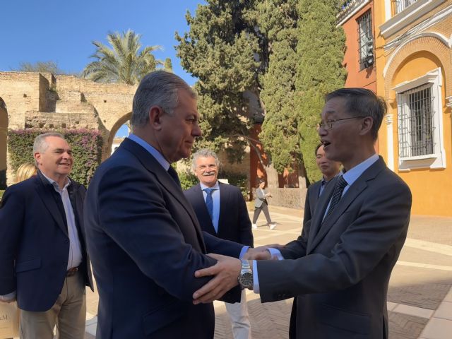 El alcalde de Sevilla recibe al embajador de China en España - 1, Foto 1