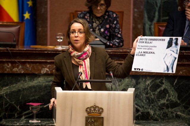 La Asamblea pide al Gobierno de España un código de regulación que evite la publicidad sexista y discriminatoria - 1, Foto 1