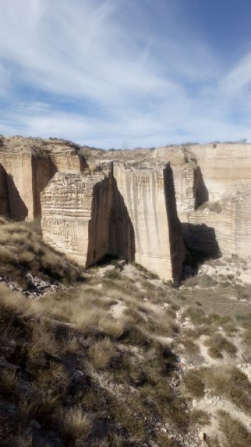 La senda ciclable de Bosque Romano sufre un año de retraso pese a las promesas de Noelia Arroyo - 3, Foto 3