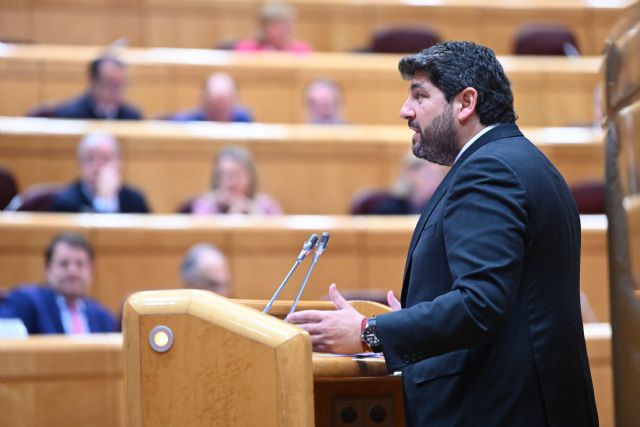 Fernando en el Senado: La amnistía es un traje a medida del independentismo - 2, Foto 2