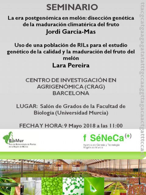 Un seminario de la Universidad de Murcia analiza la genética del melón - 1, Foto 1
