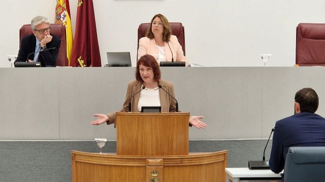 María Marín: En Podemos llevamos sufriendo la arbitrariedad de la Mesa y de la junta de Portavoces desde principio de legislatura - 1, Foto 1