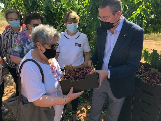 Agricultura dona a Cáritas cerezas de la finca experimental Las Nogueras de Caravaca de la Cruz - 1, Foto 1