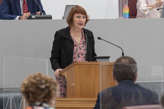 María Marín lleva los testimonios de familiares de fallecidos en las residencias a la Asamblea Regional: Dijeron que todo iba bien. Nos mintieron - 1, Foto 1