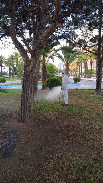 El Ayuntamiento de San Javier intensifica la lucha contra los mosquitos - 1, Foto 1