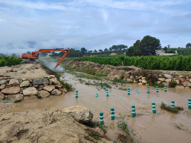 La CHS comienza la campaña de desbroces en el río Segura y en cauces secundarios de la cuenca - 3, Foto 3