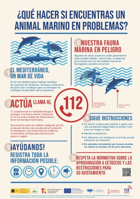 El Ayuntamiento de Lorca colabora un año más con la Fundación Oceanogràfic para proteger los animales marinos durante el periodo estival El Ayuntamiento de Lorca colabora un año más con la Fundación Oceanogràfic para proteger los animales marinos durante el periodo estival