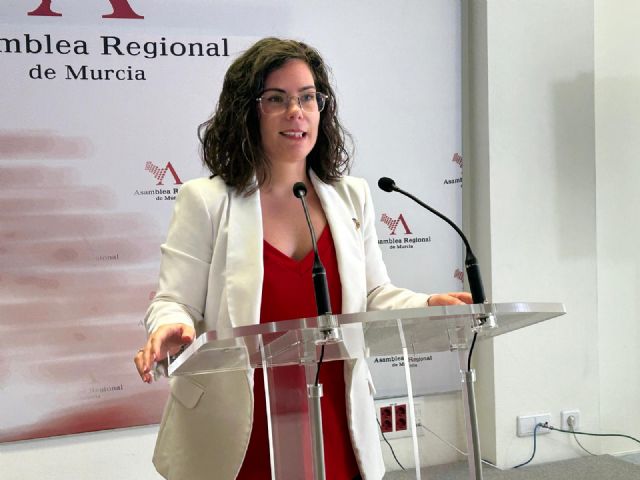 El PSOE propone que se reinvierta el IVA autonómico de las donaciones al Banco de Alimentos para la compra de más alimentos - 1, Foto 1