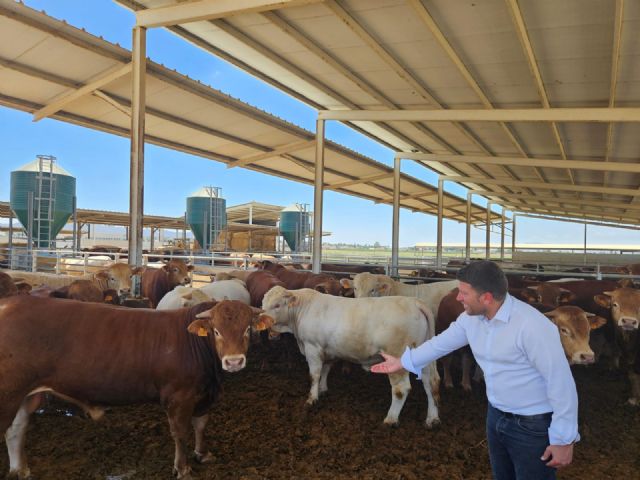 Los movimientos de ganado bovino se flexibilizan en la Región de Murcia tras ser declarada zona libre de tuberculosos bovina - 1, Foto 1