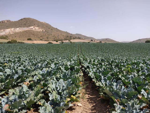 Cadena Humana en Defensa de Fuentes, Manantiales y el Valle del Quípar, y sus humedales, que están dejando secos - 4, Foto 4