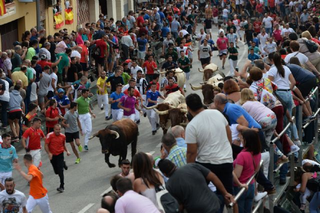 Los encierros taurinos de Calasparra se despiden con récord - 4, Foto 4