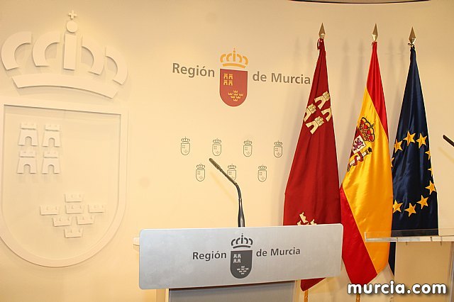 Más de 35.000 familias pueden solicitar a partir de hoy el reconocimiento de monoparental - 1, Foto 1