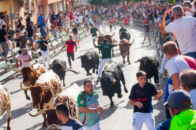 El peligroso encierro de Galache deja un herido por asta de toro - 1, Foto 1