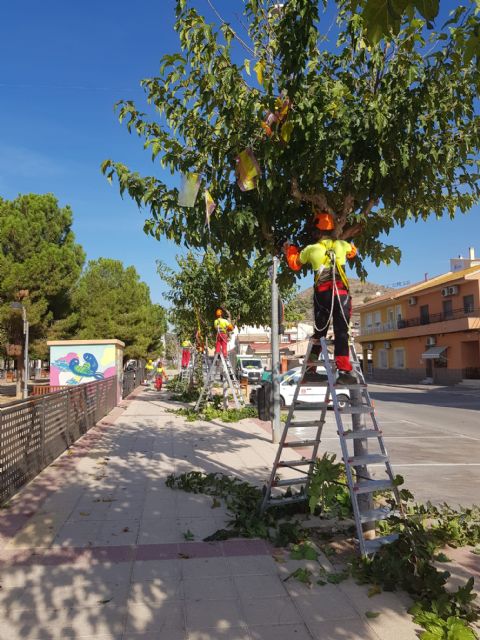 Arranca la poda de cerca de 20.000 moreras en las pedanías y el casco urbano de Murcia - 2, Foto 2