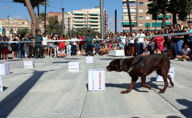 La Guardia Civil expone sus recursos humanos y técnicos, con motivo de la celebración de la festividad de su Patrona - 3, Foto 3