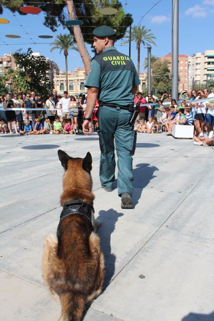 La Guardia Civil expone sus recursos humanos y técnicos, con motivo de la celebración de la festividad de su Patrona - 5, Foto 5