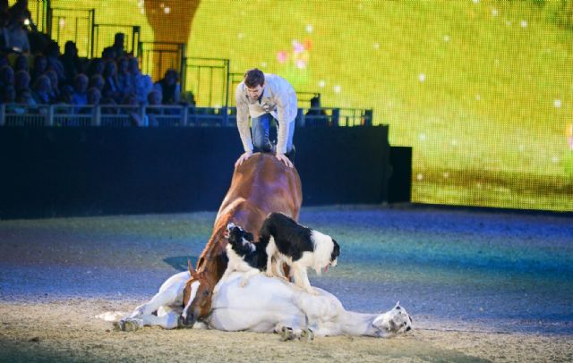 El reconocido domador de caballos en libertad Santi Serra llega a Caravaca este sábado con su sorprendente espectáculo ´Volando libre´ - 3, Foto 3