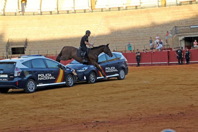 Antonio Rendón . España . Unidades de élite de la Policía Nacional muestran sus técnicas de intervención en la Maestranza ante un público entusiasta - 5, Foto 5