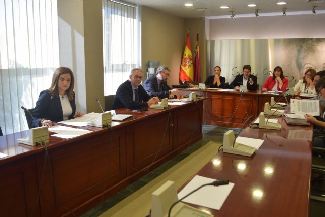 La Asamblea propone al Gobierno regional conveniar con Defensa la reserva de empleo público para personal de tropa y marinería - 1, Foto 1