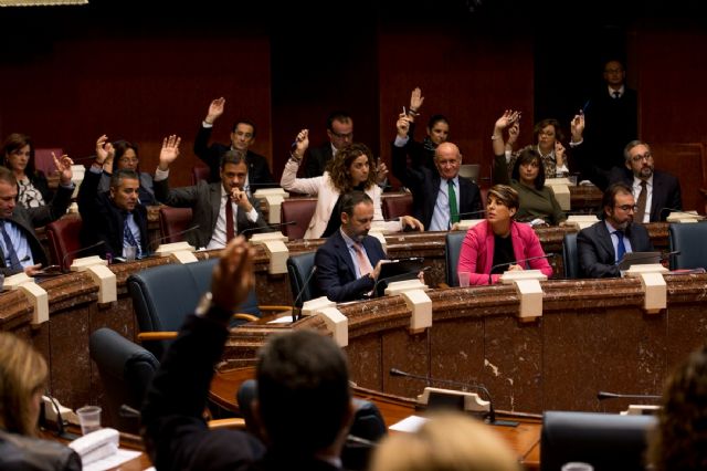 Víctor Martínez-Carrasco: Gracias al compromiso de todos vamos a tener una región libre de fracking - 2, Foto 2