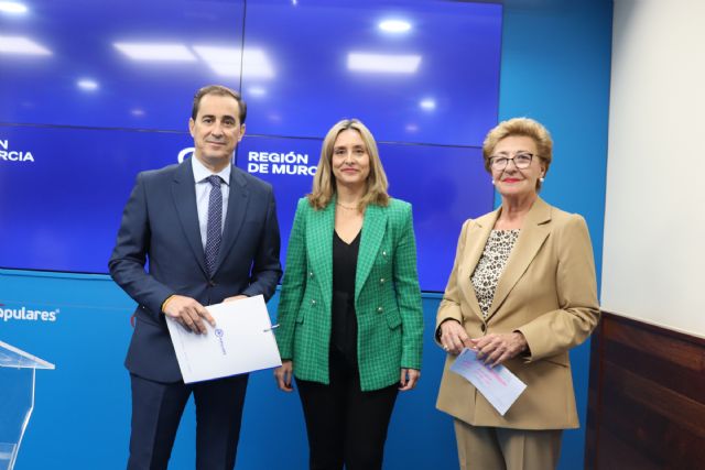 El PP presentará mociones en la Asamblea Regional y en los ayuntamientos para impedir que el Gobierno de Sánchez desampare a la discapacidad - 1, Foto 1