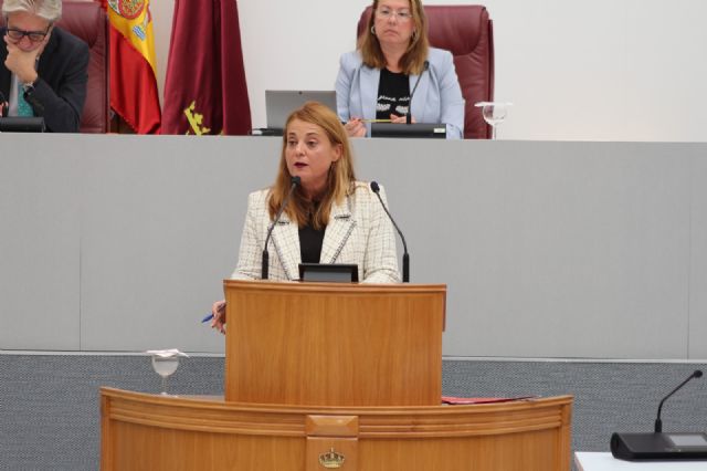 Virginia Lopo: El PP vuelve a demostrar su nulo interés en dar seguridad jurídica a asistentes y empresarios de espectáculos públicos - 1, Foto 1