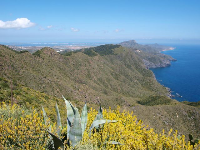 CTSSP denuncia que el Parque Regional de Calblanque se abra al ecoturismo empresarial de alto standing - 1, Foto 1